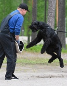 Kuvaaja Raija Kammonen